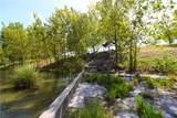 644 Horseshoe Falls Drive - Photo 12