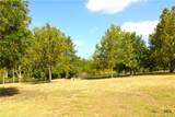 644 Horseshoe Falls Drive - Photo 6