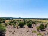 Lot 49 Cottonwood Mesa Drive - Photo 10