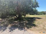 TBD Indian Bluff Road - Photo 5