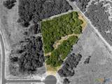 161 Dove Circle - Photo 1