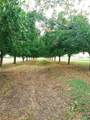 263 Krams Creek Road - Photo 2
