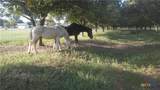 263 Krams Creek Road - Photo 6