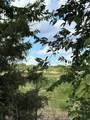 TBD N Lone Star Parkway - Photo 2