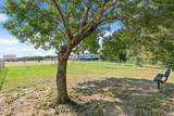3196 Renee Street - Photo 24