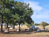 TBD Indian Camp Trail - Photo 15