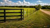 2081 County Road 238 - Photo 5