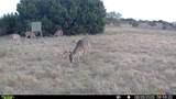 2892 Us Highway 183 - Photo 17
