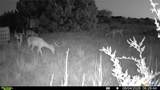 2892 Us Highway 183 - Photo 18