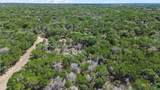 0 Prickly Pear - Photo 10