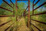 000 Doehrman Lane - Photo 10