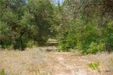 000 Doehrman Lane - Photo 15