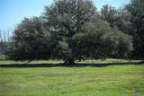 1018 Main Loop Road - Photo 9
