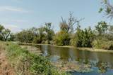 LOT 238 TRACT 9 Guadalupe River Road - Photo 6