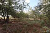 5668 State Highway 97 - Photo 10