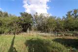 5668 State Highway 97 - Photo 2