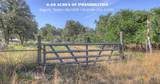 3912 Hickory Forrest Drive - Photo 1