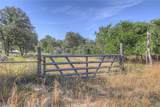 3912 Hickory Forrest Drive - Photo 4