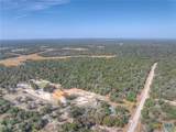 3912 Hickory Forrest Drive - Photo 41