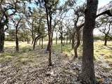 1358 County Road 233 Road - Photo 13