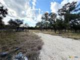 1358 County Road 233 Road - Photo 16