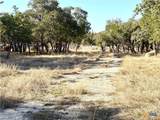 1358 County Road 233 Road - Photo 7