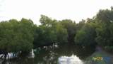 4051 Hwy 36 - Photo 11