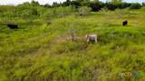 4051 Hwy 36 - Photo 12