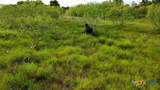 4051 Hwy 36 - Photo 13