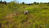 4051 Hwy 36 - Photo 14