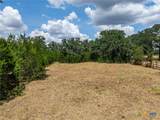 TBD County Road 4125 - Photo 17