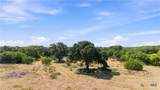 703 Blackbuck Ridge Drive - Photo 10
