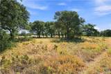 703 Blackbuck Ridge Drive - Photo 14