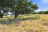 703 Blackbuck Ridge Drive - Photo 16