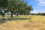 703 Blackbuck Ridge Drive - Photo 17