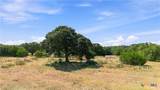 703 Blackbuck Ridge Drive - Photo 5