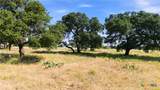 703 Blackbuck Ridge Drive - Photo 6