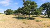 703 Blackbuck Ridge Drive - Photo 7