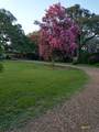 1037 Noll Road - Photo 4