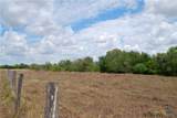 Tract 2 County Road 366 - Photo 10