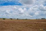 Tract 2 County Road 366 - Photo 13