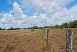Tract 2 County Road 366 - Photo 3