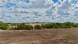 Tract 2 County Road 366 - Photo 6