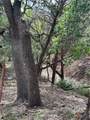 1107 Whispering Hills Drive - Photo 3