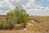 Tract 3 County Road 366 - Photo 18