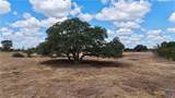 Tract 3 County Road 366 - Photo 2