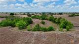 Tract 3 County Road 366 - Photo 27