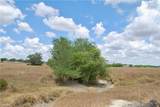 Tract 4 County Road 366 - Photo 11