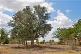 Tract 4 County Road 366 - Photo 15