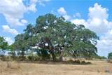 Tract 4 County Road 366 - Photo 16